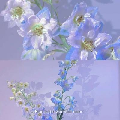 星灵守护手游下载